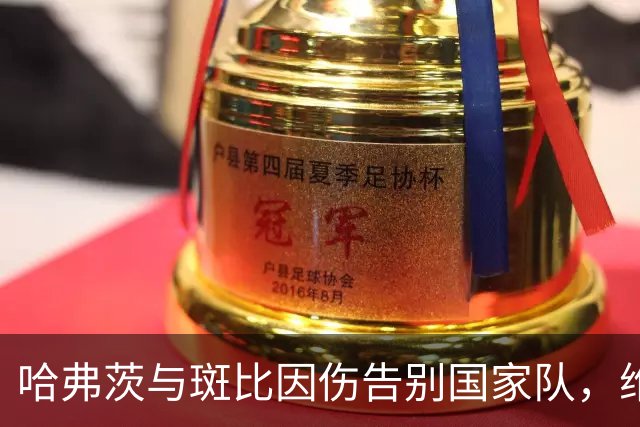 哈弗茨与斑比因伤告别国家队，维尔茨或迎机会